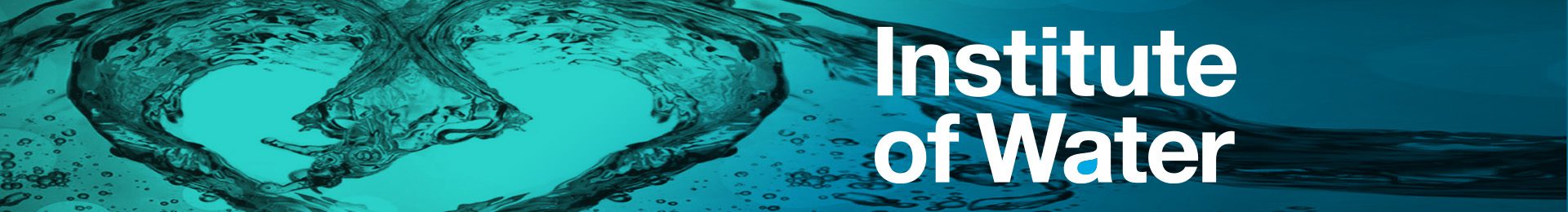 Featured image for “Bowman Power shortlisted for Institute of Water award”